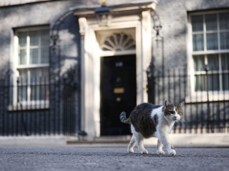 The Mouses of Parliament