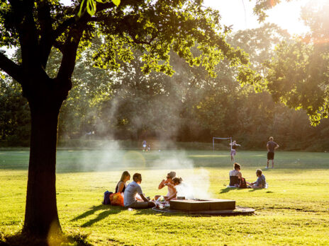 Why are Britain’s park barbecues going private?