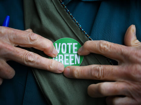 The truth about the “hostile takeover” of the Green Party