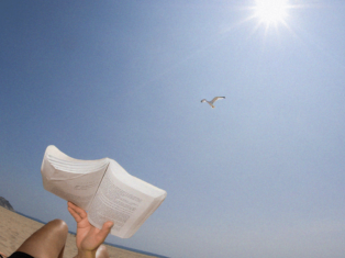 The New Statesman’s ultimate beach reads