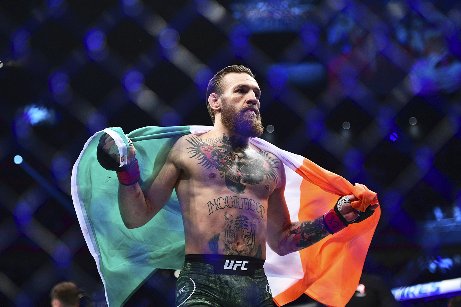 Has Ireland knocked out Conor McGregor?