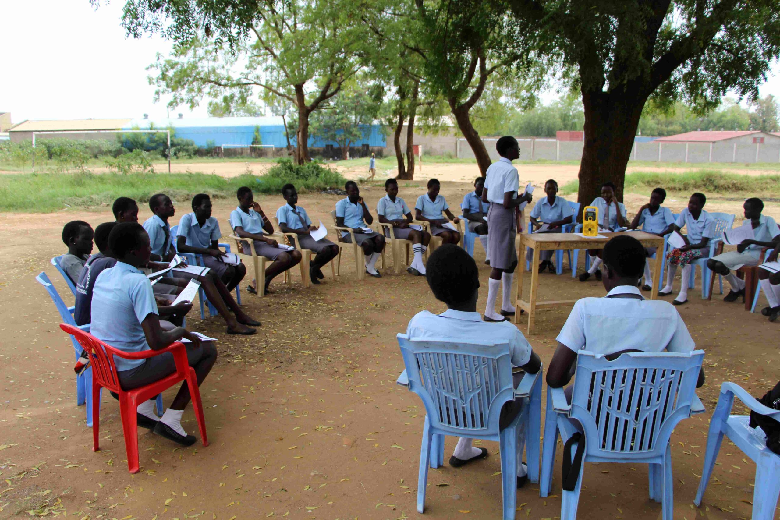 The soft power of professional services