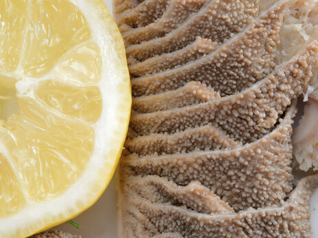 How eating organs became cool