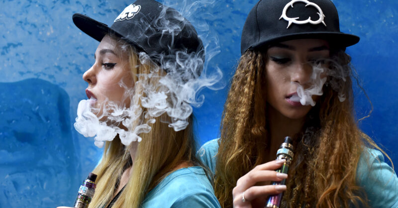 Vape to save your pet - New Statesman