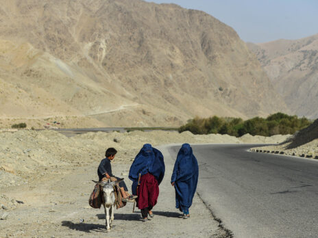 As the Taliban erases Afghan women, the world looks away