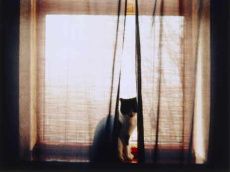 My mother, the Broadway star of Cloudesley Ward