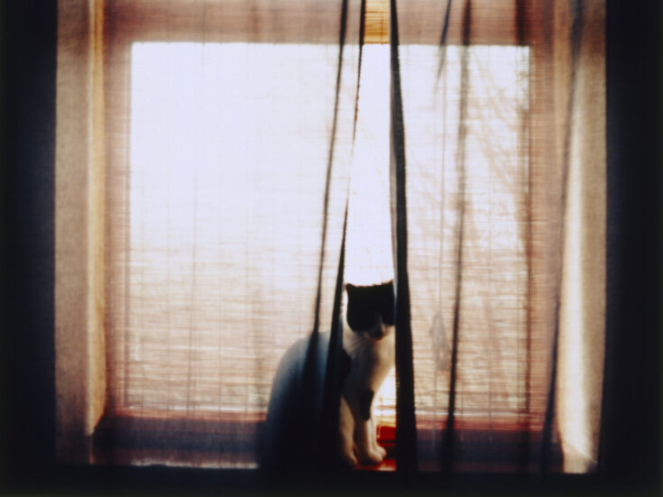 My mother, the Broadway star of Cloudesley Ward