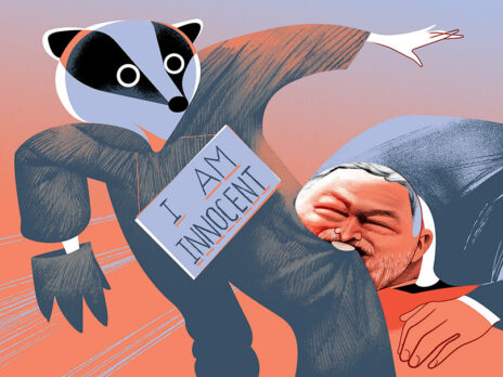 Can Mary Barton save Britain’s badgers?