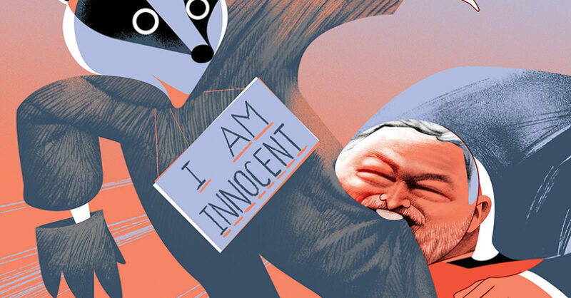 Can Mary Barton save Britain’s badgers?
