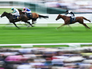 "Tax online casinos until the pips squeak"