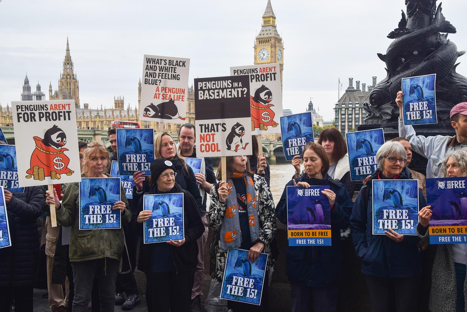 How London's penguins got political