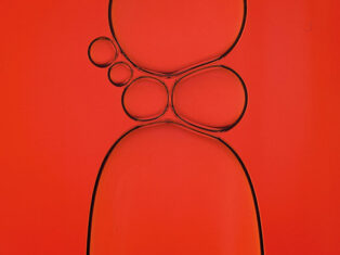 What we can learn from Beaujolais nouveau