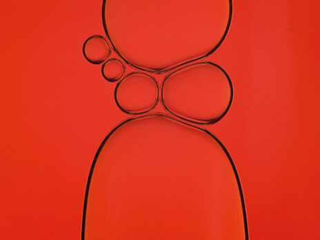 What we can learn from Beaujolais nouveau