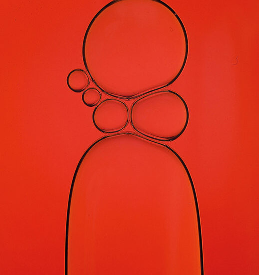 What we can learn from Beaujolais nouveau