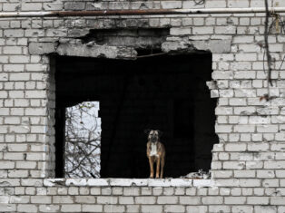Under siege in Ukraine, I mourn our little dog