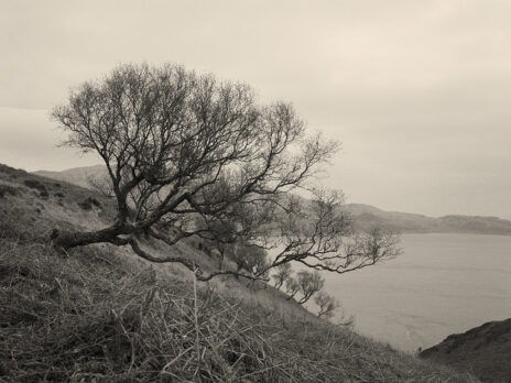 Photo essay: George Orwell's late sanctuary Photo essay: George Orwell's late sanctuary