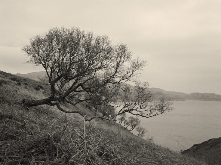 Photo essay: George Orwell's late sanctuary