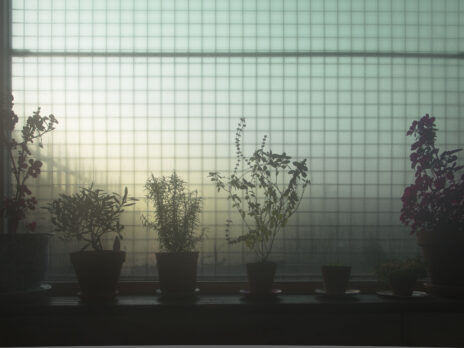 I am beset by boredom, a rare condition that’s not good for me