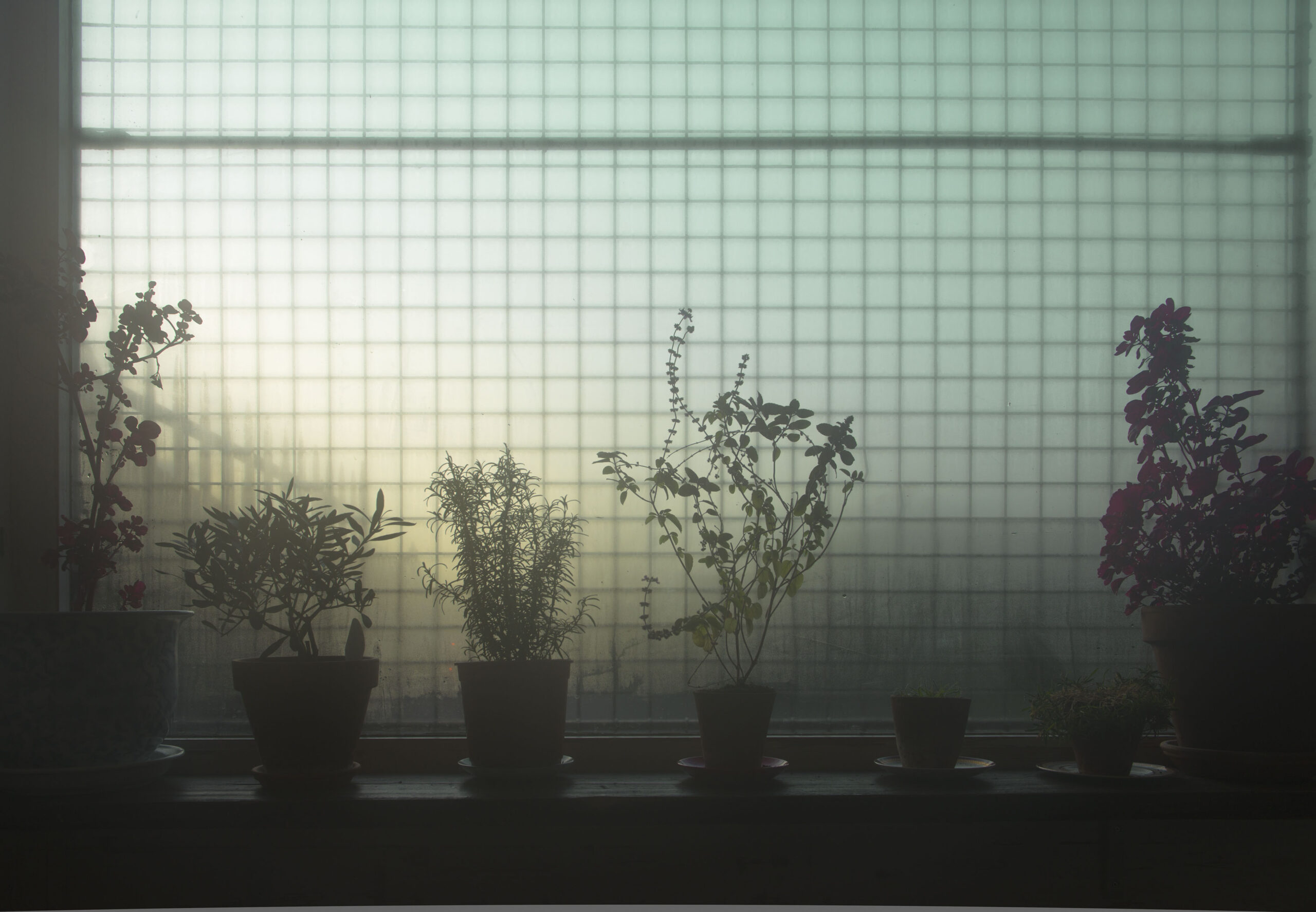 I am beset by boredom, a rare condition that’s not good for me