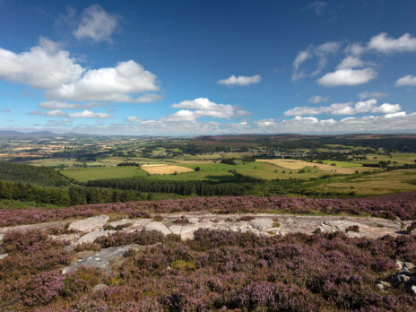 Deals, dukes and dirt: inside the largest land sale for 30 years