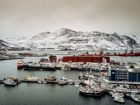 Trump claims Russian and Chinese ships are “all over” Greenland. This is the reality Trump claims Russian and Chinese ships are “all over” Greenland. This is the reality