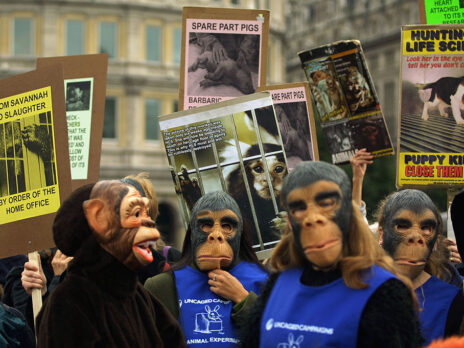 Animal testing protest ban ruffles backbench feathers