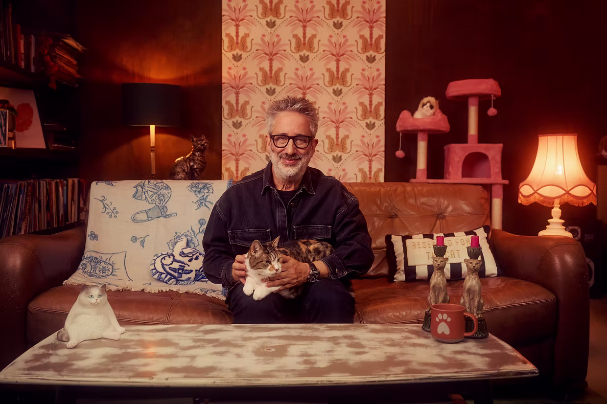Cats are better than dogs – and much better than David Baddiel
