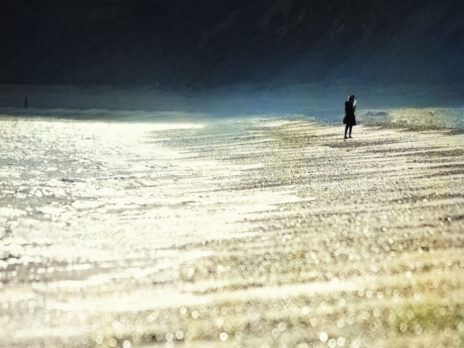 The NS Poem: If No One Turns