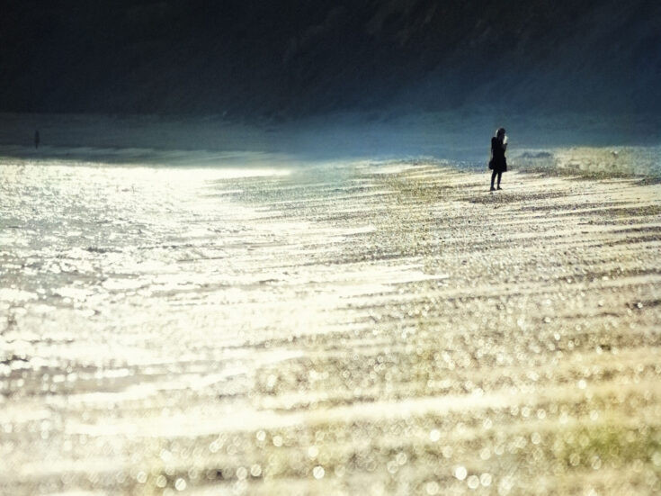 Photo of The NS Poem: If No One Turns