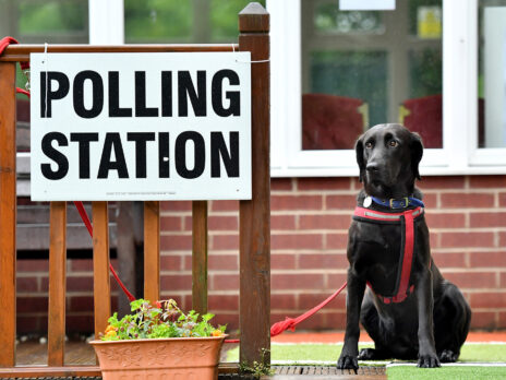 Government abandons plans to delay 30 council elections