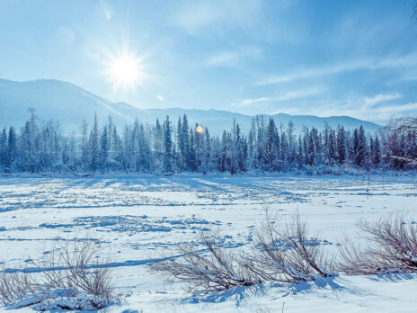 Uncovering Russia's dark soul