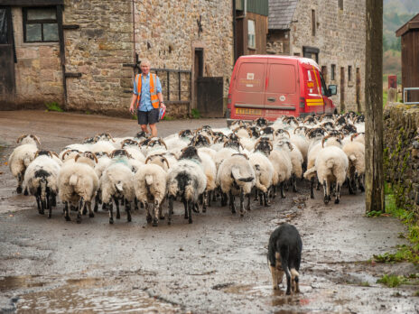 Letter of the week: Grief in the margins