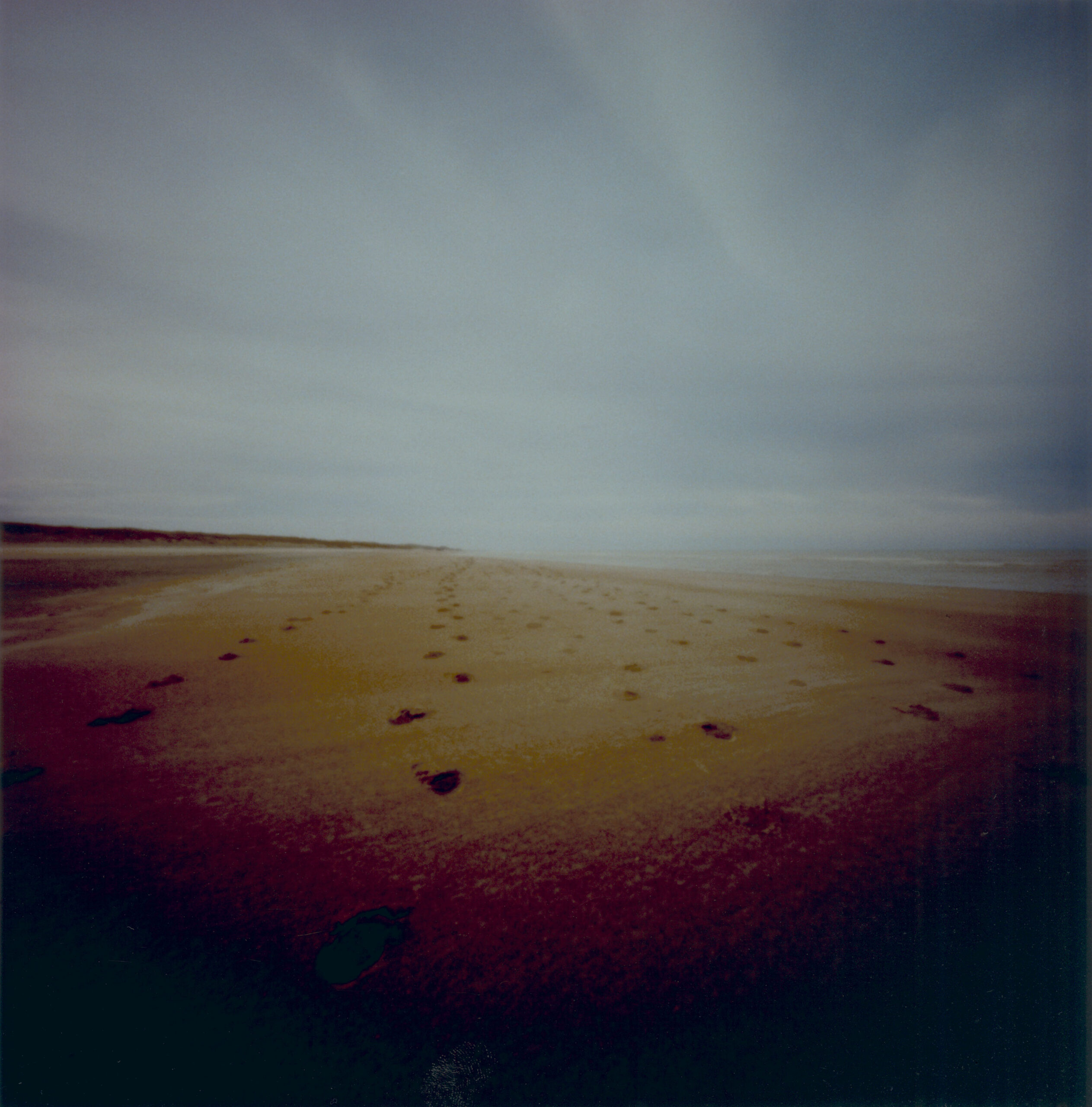 The NS Poem: Footprints