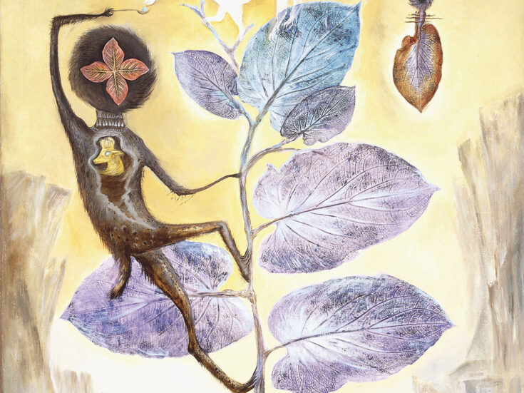 Photo of Michael Pollan’s hunt for consciousness