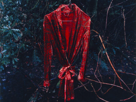 Zoe Strimpel’s orgy of contradictions