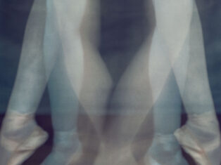 The NS Poem: A dream in two parts