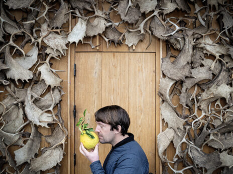 Noma and the tyranny of angry chefs