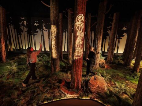 Who wants to be a Viking?