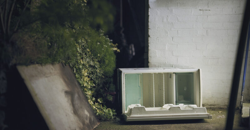 Why am I so healthy?