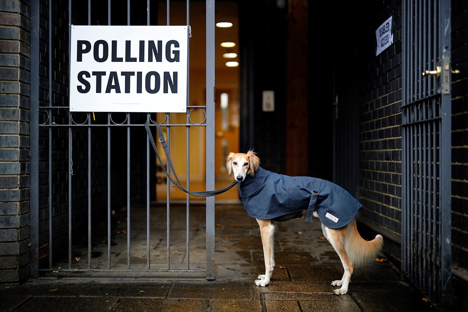 Can the Lib Dems fight off a Green challenge?