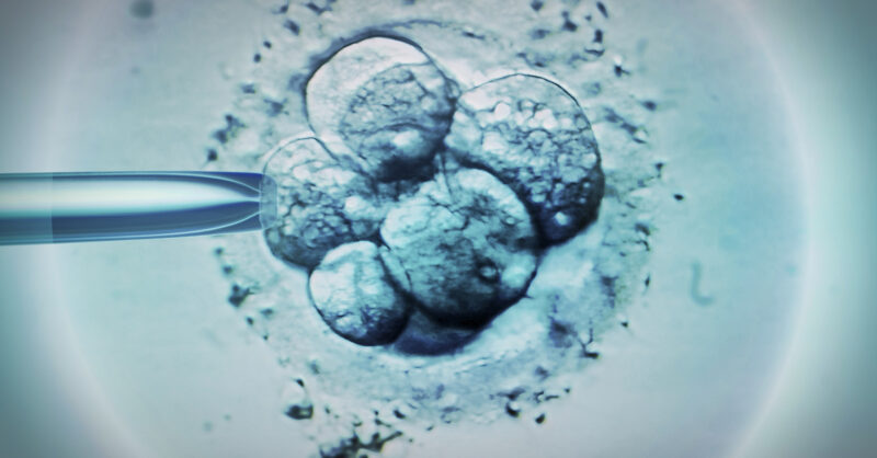 The rise and rise of icky IVF ads