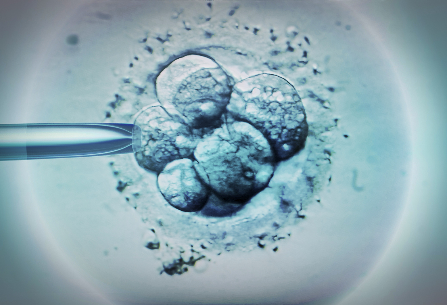 The rise and rise of icky IVF ads