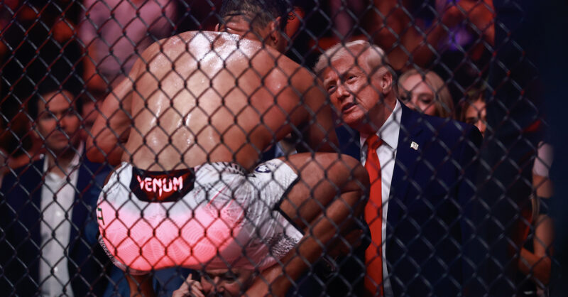 We’re all stuck in Donald Trump’s cage fight