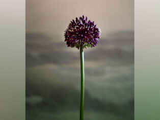 A summer of sex? Yes please!