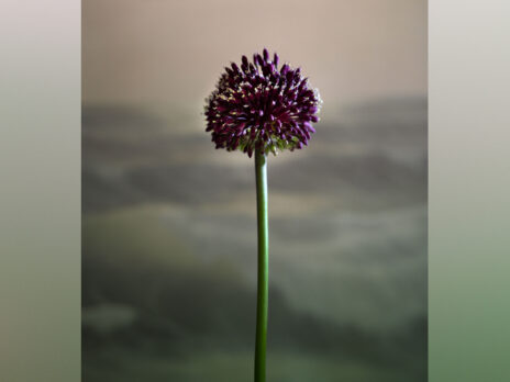 A summer of sex? Yes please!