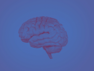 What do mushrooms have to do with consciousness?