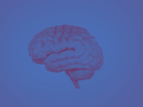 What do mushrooms have to do with consciousness?