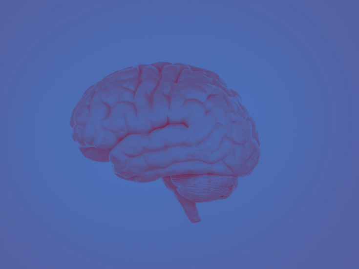 What do mushrooms have to do with consciousness?