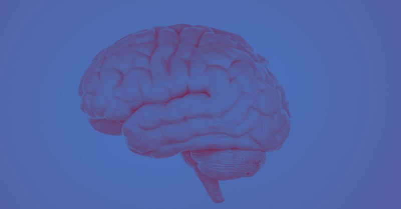 What do mushrooms have to do with consciousness?