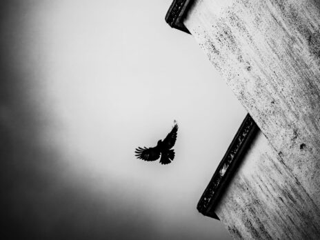 The NS Poem: Nocturne